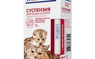 У кошки ленточные глисты чем лечить