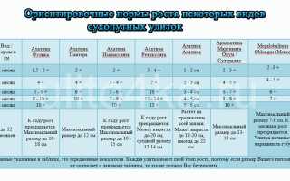 Возраст улитки
