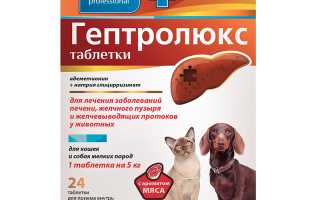 Лечение кошек гептралом