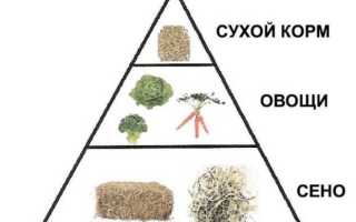 Как выкормить крольчат без крольчихи