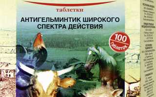 Эффективен ли Альбен С в борьбе с гельминтами у собак: мнение ветеринаров?