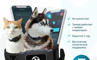 Для чего нужен ошейник с GPS-трекером для собак и как его правильно подобрать? Полезные советы