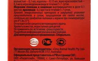 Показания и противопоказания к применению Гемобаланса для собак: важная информация