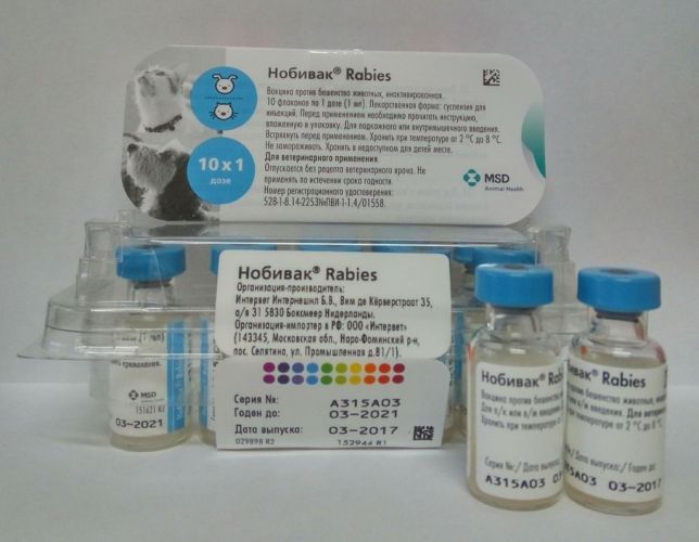 Нобивак против бешенства: инструкция по применению вакцины против бешенства для собак и кошек