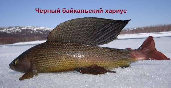 Байкал