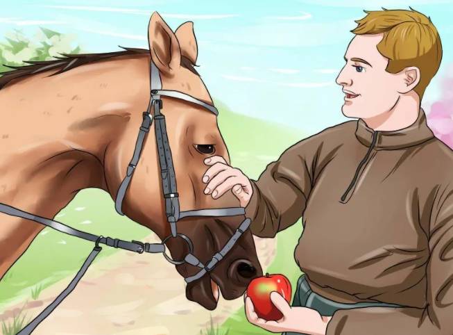 Поощрение лошади