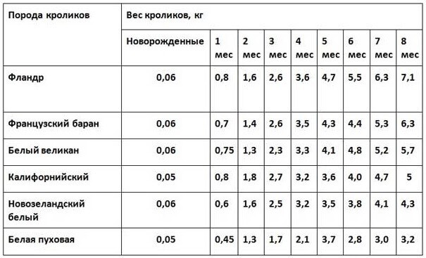 Скорость роста кроликов