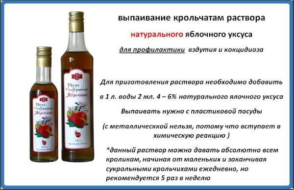 Яблочный уксус от кокцидиоза
