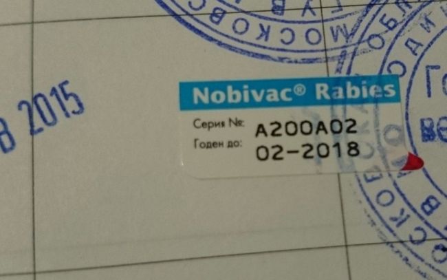 Нобивак против бешенства: инструкция по применению вакцины против бешенства для собак и кошек