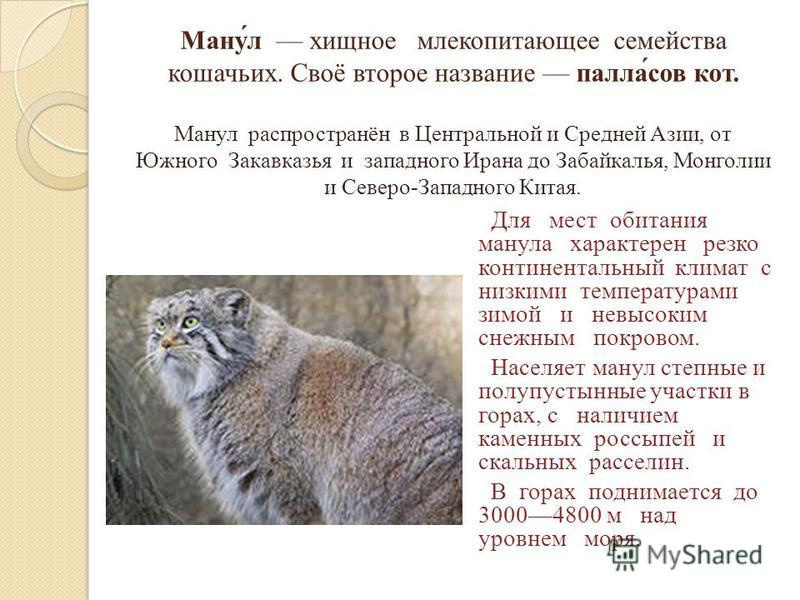 Растения и животные Красной книги Пермского края