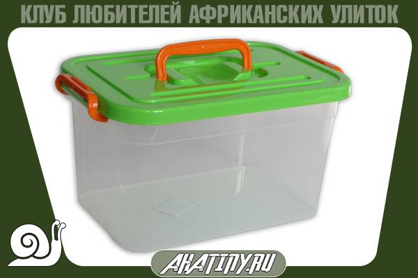 Содержание маленьких улиток ахатин