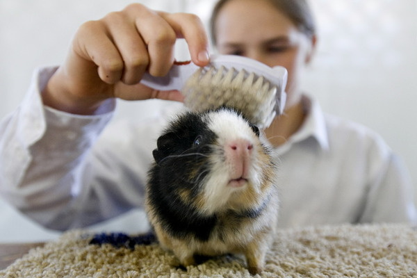 Уход за волосами