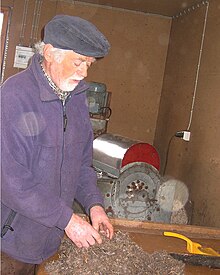 Гага (птица)