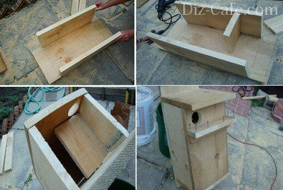Строительство домика для белки из спила дерева 