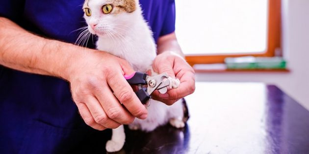 Будьте спокойны и уверены при стрижке ногтей