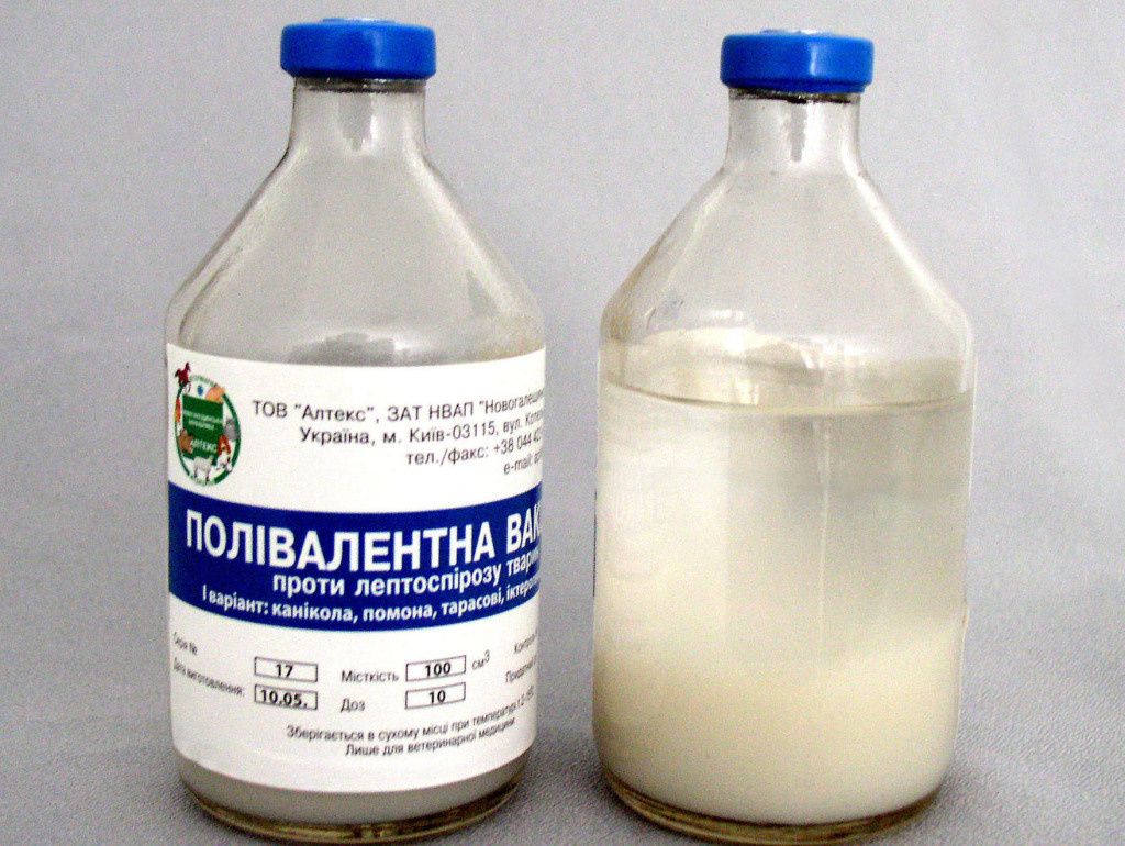 Мультивалентная сыворотка