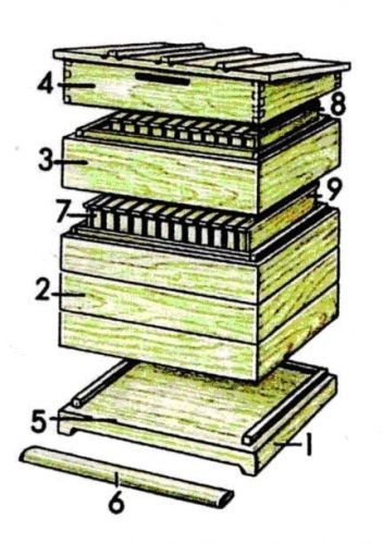 схема улья Дадана