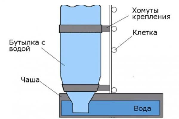 Вакуумная поилка из пластиковой бутылки 