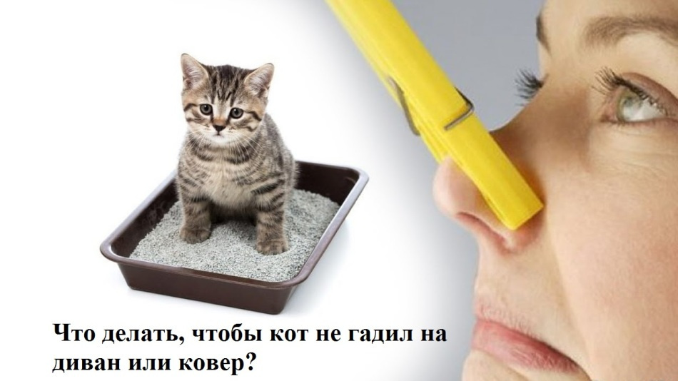 Найти решение