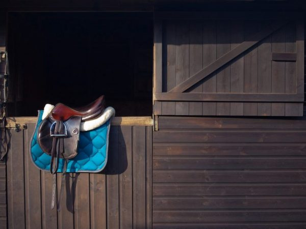 Конюшня должна соответствовать размеру лошади