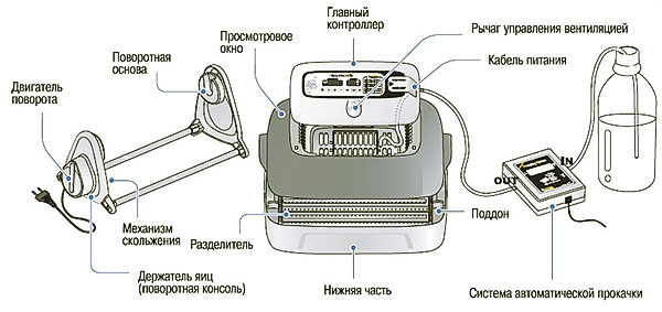 Строительство 