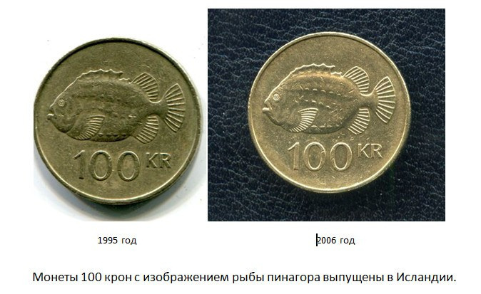 рыба пинаго 6