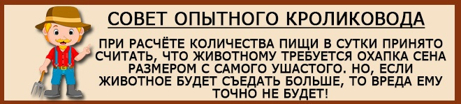 Совет кролиководу
