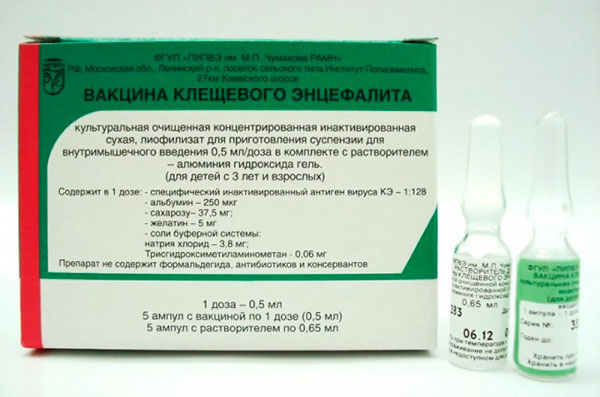 Вакцина против клещевого энцефалита 