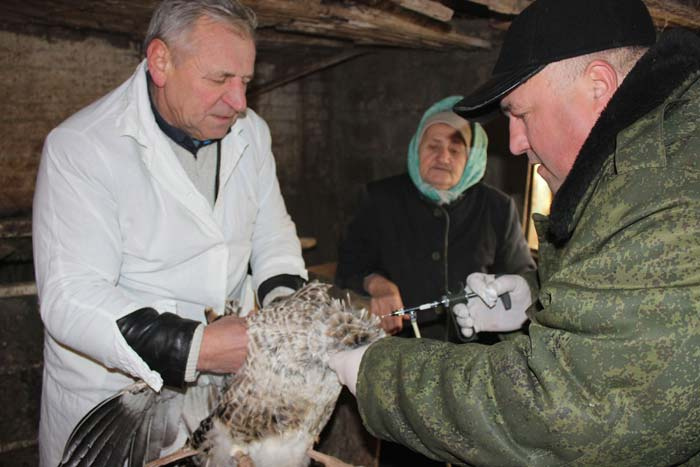 коррупция