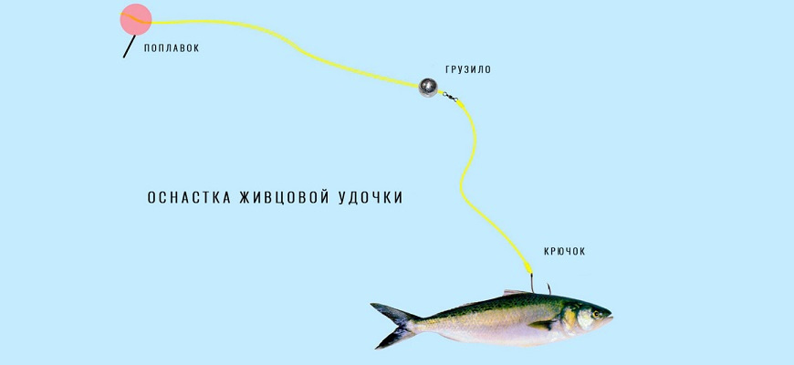 Рыболовные снасти