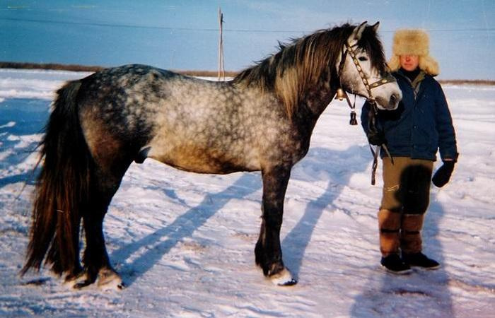 человек в шляпе