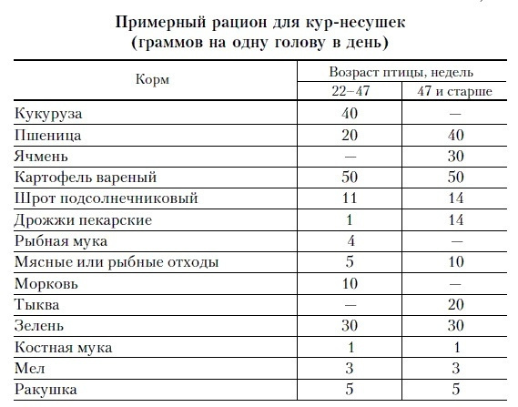 Почему не несутся куры