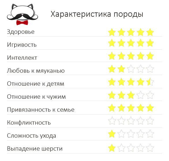Характеристики породы