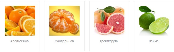 Корма для всех видов попугаев