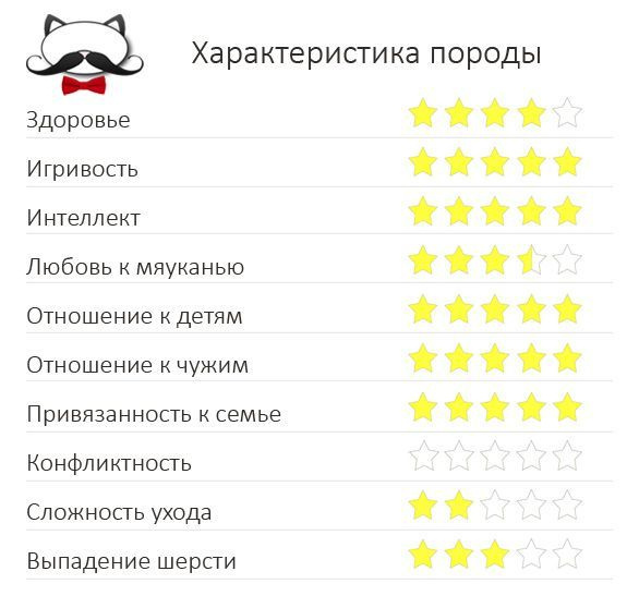 Характеристики американского бобтейла