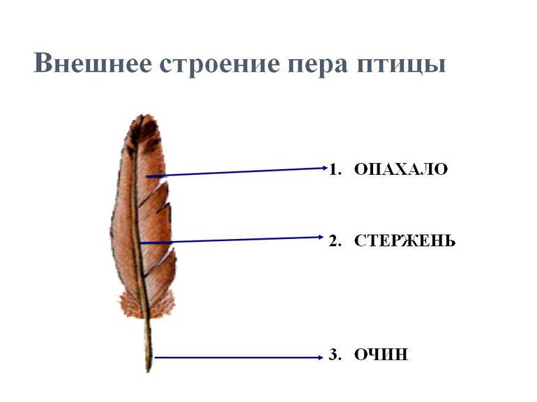 Структура пододеяльника