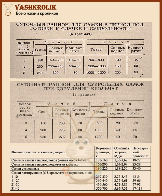 Питание самки