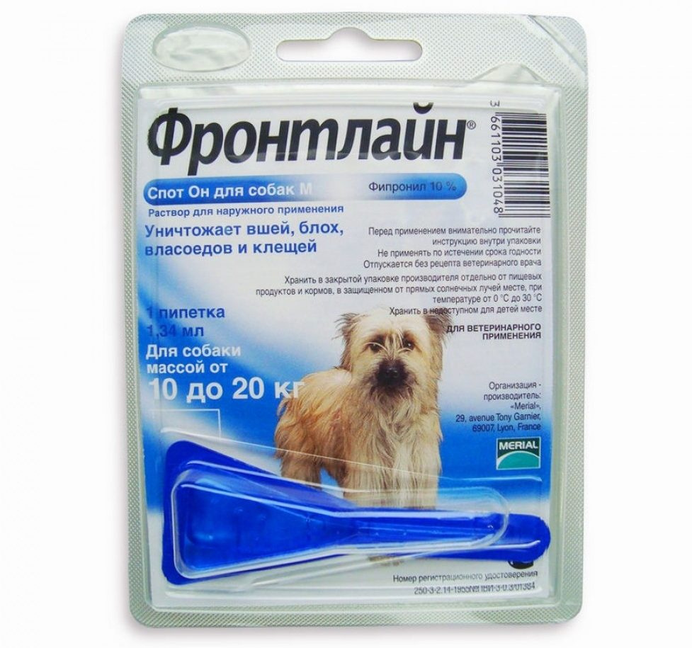 Средства от блох для собак