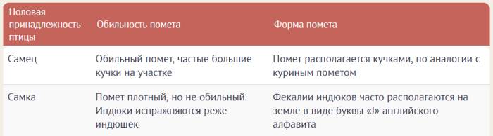 Разница между индейкой и индюком 