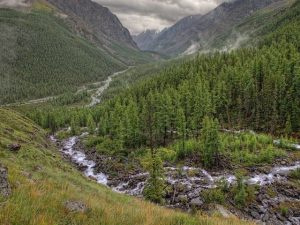 Природный ландшафт
