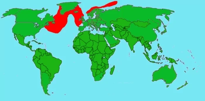 Выкладываю тупиковые фото