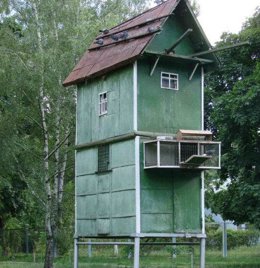 Голубятня башня