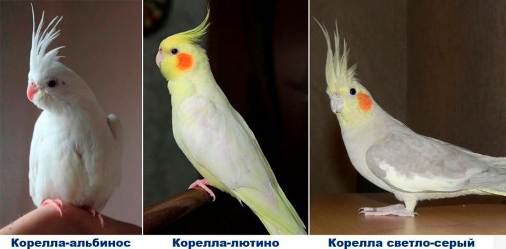 просмотры