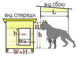 Дизайн вольера