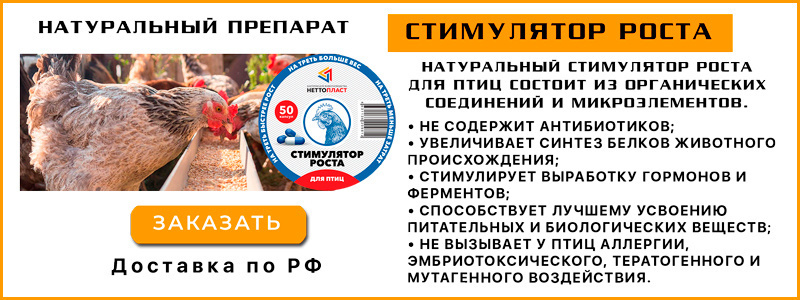 Чем кормить бройлеров в зависимости от возраста