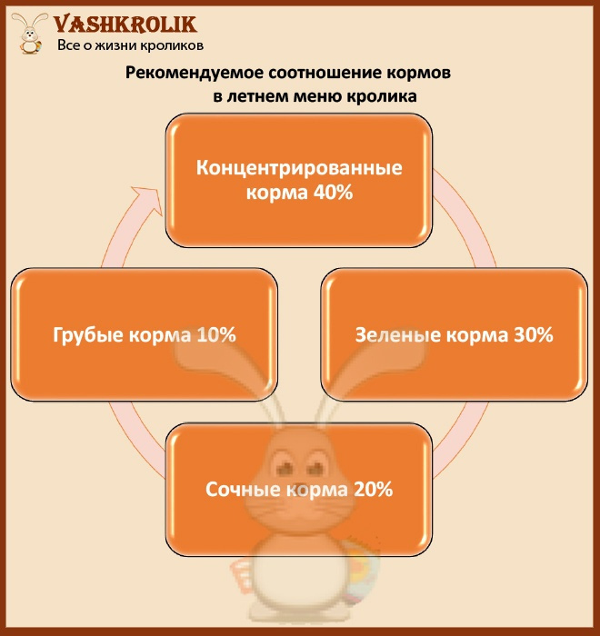 Меню кролика