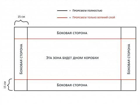 Чертеж основания вольера для морских свинок