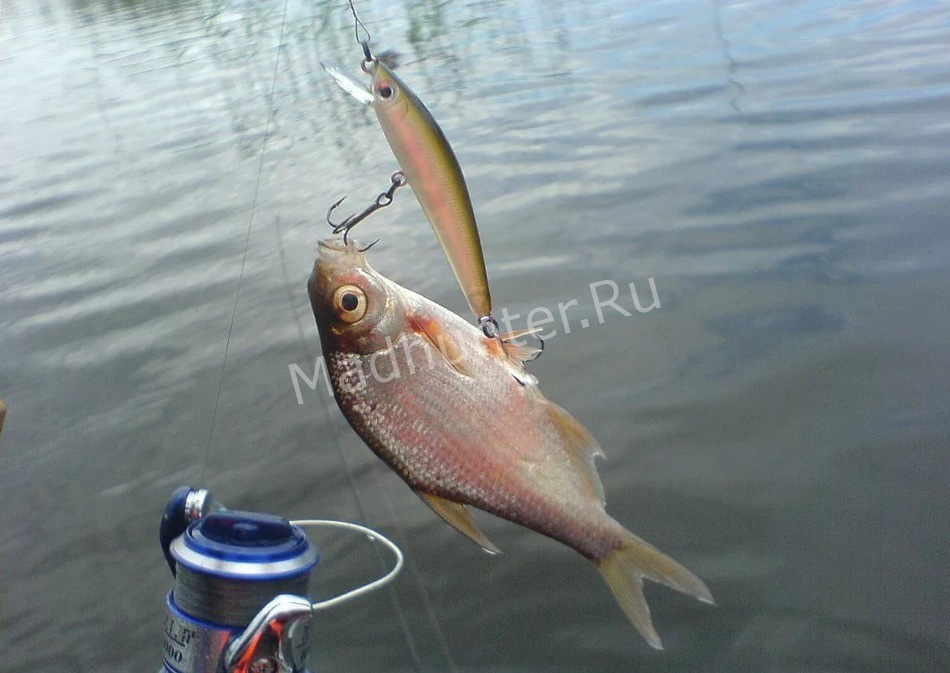 Рыбалка на морского леща