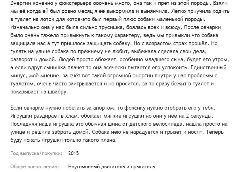 Отзывы о собаках фокстерьеров