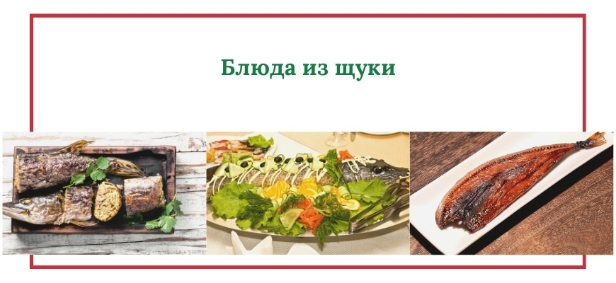 Блюда из щуки